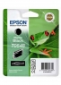 T05484010