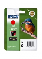 C13T15974010