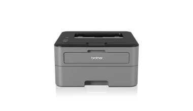 Brother HL L2300