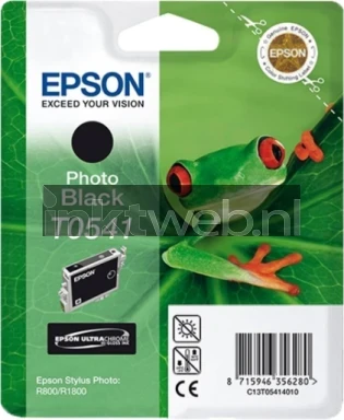 Epson T0541 foto zwart
