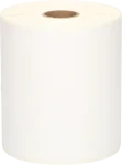 Zebra verzendetiketten 102x150 10-pack wit Product only