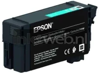 Epson T40C240 cyaan (Origineel)