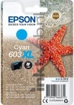 Epson 603XL cyaan (Origineel Hoge Capaciteit)