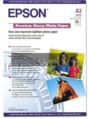 Epson S041315