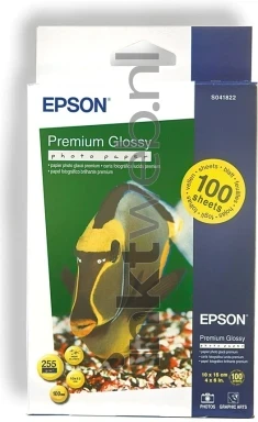 Epson S041822