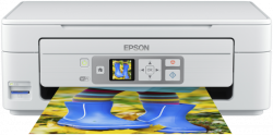 Epson Expression Home XP 355 (Expression serie)