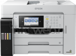 Epson Pro L15180 (EcoTank)