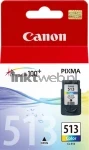 Canon CL-513 kleur