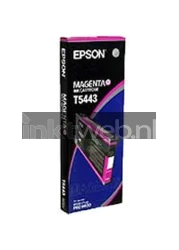 Epson T5443 magenta Front box