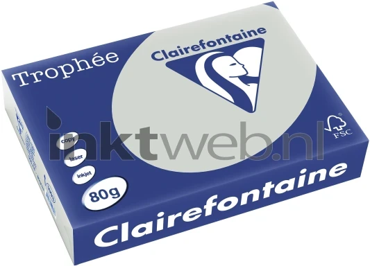 Clairefontaine A4 papier gekleurd Lichtgrijs