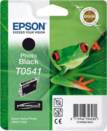 Epson T0541 foto zwart