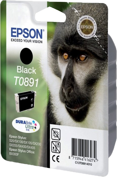 Epson T0891 zwart
