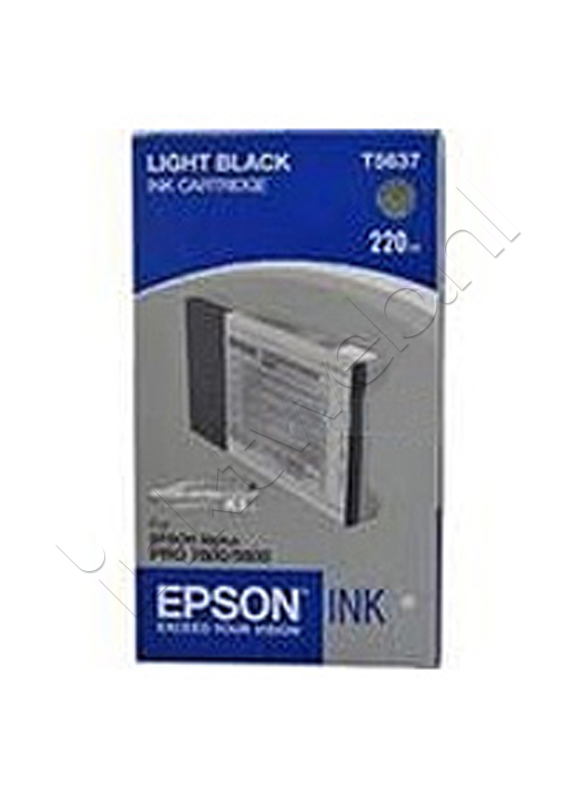 Epson T6027 licht zwart