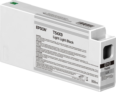 Epson C13T54X900 licht licht zwart